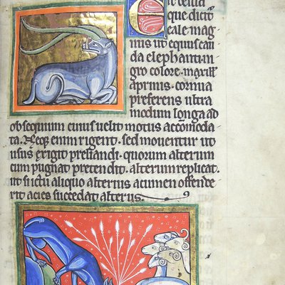 Medieval bestiary (wolf)