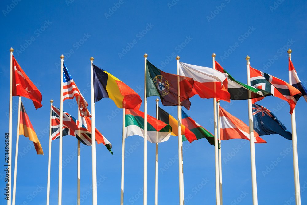 Parliament Building Flags