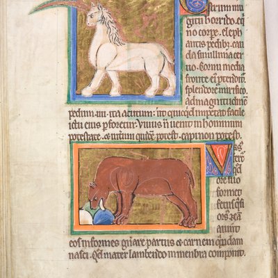 Bestiary (York, early 13th century) - 19v Monochornus & Bear