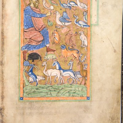 Bestiary (York, early 13th century) - Naming Animals