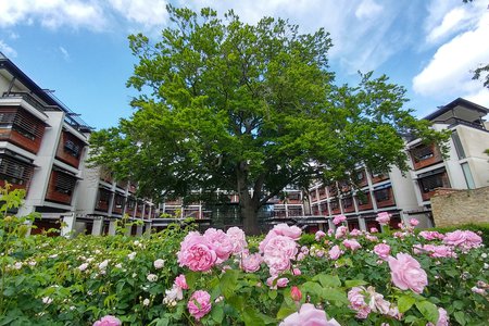 Kendrew Quad