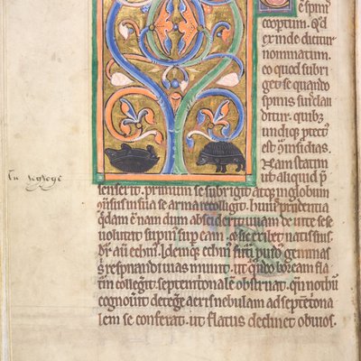 Bestiary (York, early 13th century) - 34v Hedgehog