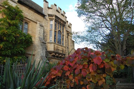 Library and Gardens