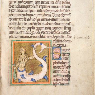 Bestiary (York, early 13th century) - 47r Siren