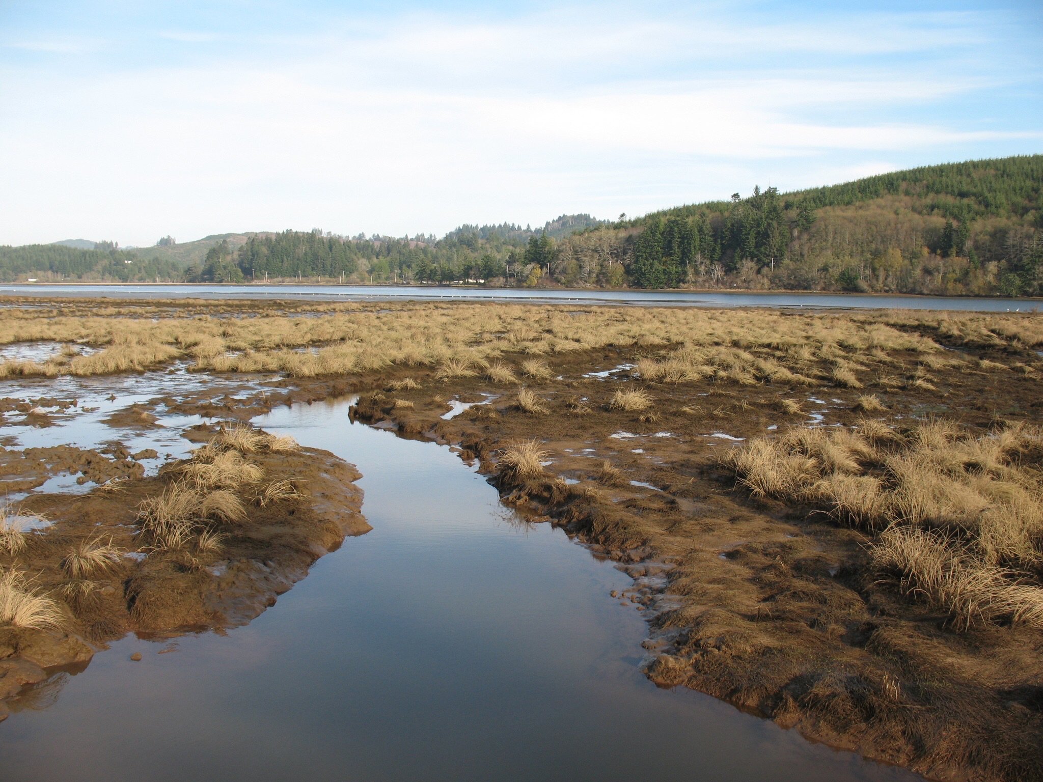 wetlands article 2