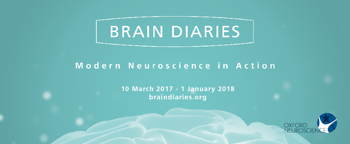Brain Diaries exhibition 2017