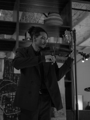 Braths-violin