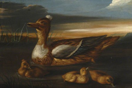 Duck and its Brood.jpg