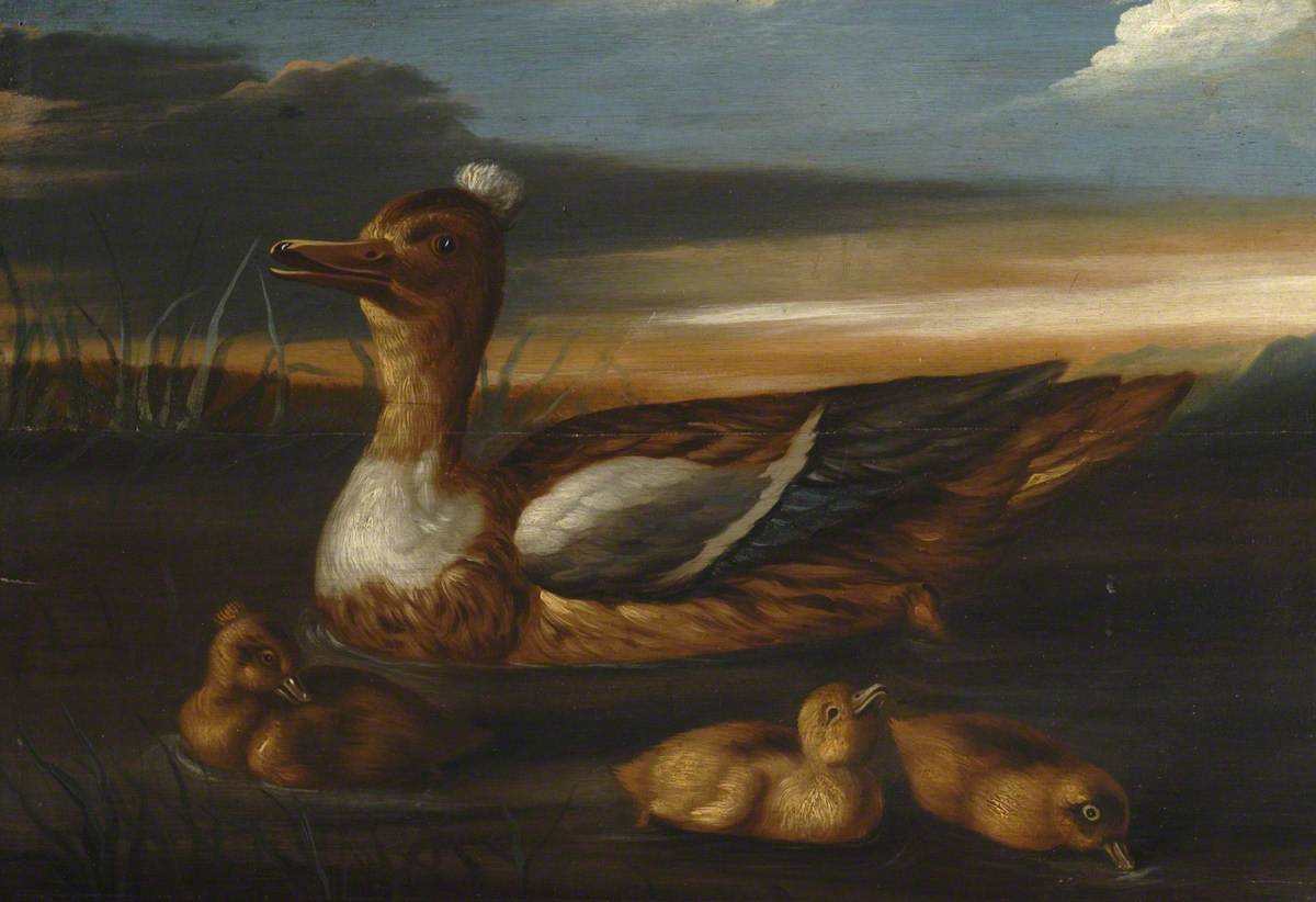 Duck and its Brood.jpg