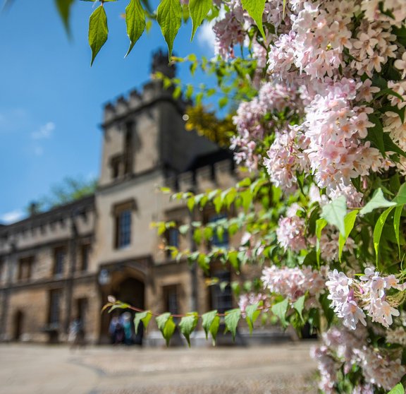 St_Johns_by_John_Cairns_26.5.23-135