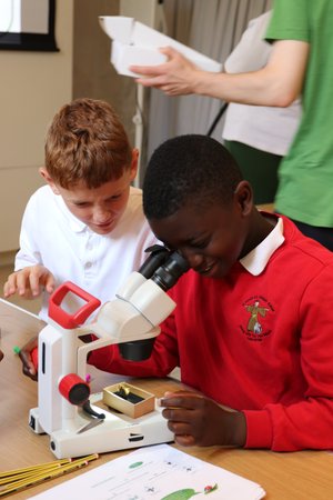 Two boys look through a microscope