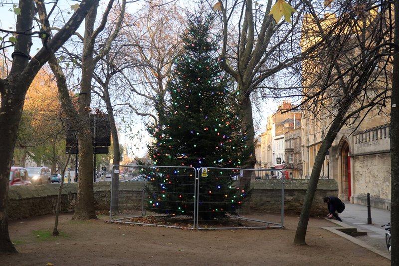 Christmas Tree in St Giles