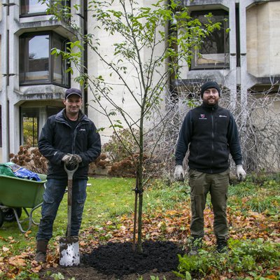 Tree planting November 2019