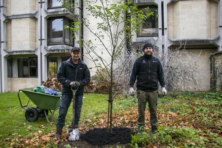 Tree planting November 2019