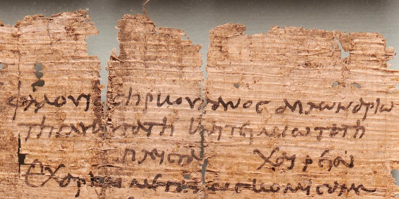 Papyrus detail
