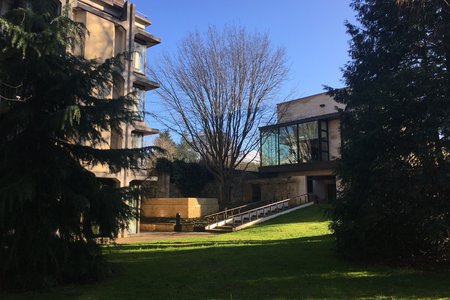 Library.jpg