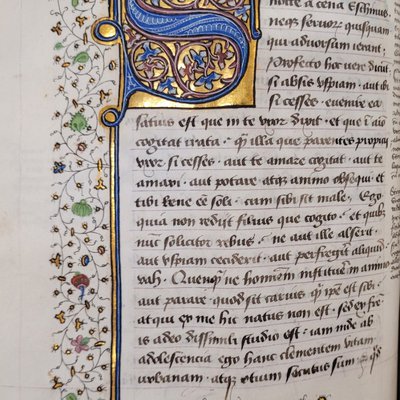 MS 117, fol. 101v.jpg