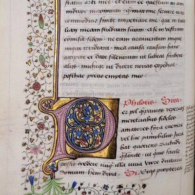 MS 117, fol. 132v.jpg