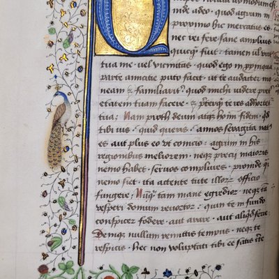 MS 117, fol. 69v.jpg