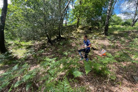 Molloy orienteering.jpg