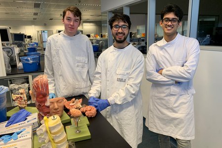 National Undergraduate Neuroanatomy Competition