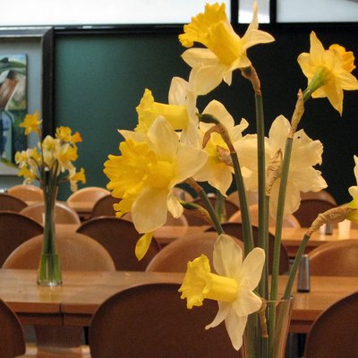 Conference Dinner Daffodils