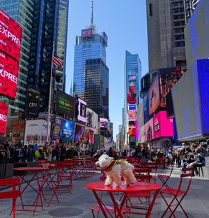 New York spring 2017