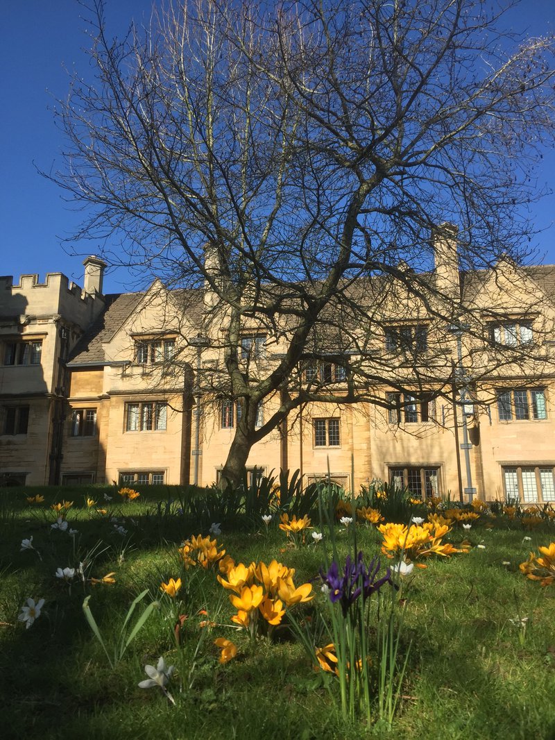 North quad spring flowers