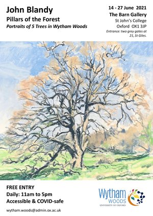 Pillars of the Forest: Portraits of 5 trees in Wytham Woods