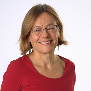 Professor Rosalind Harding