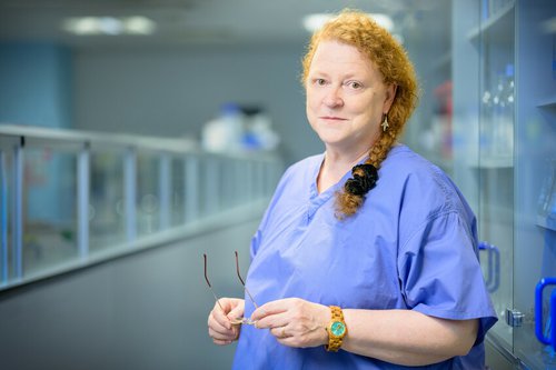 Royal Institution Lectures-Sue Black