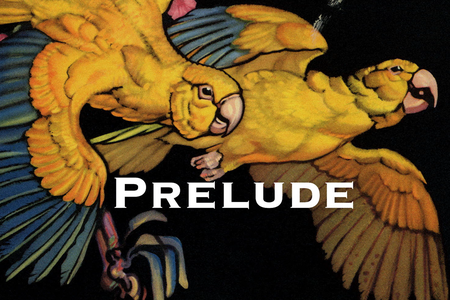 Prelude_DeNike