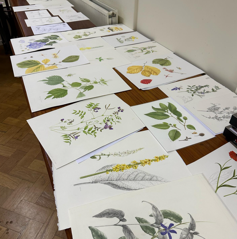 Florilegium2_2025