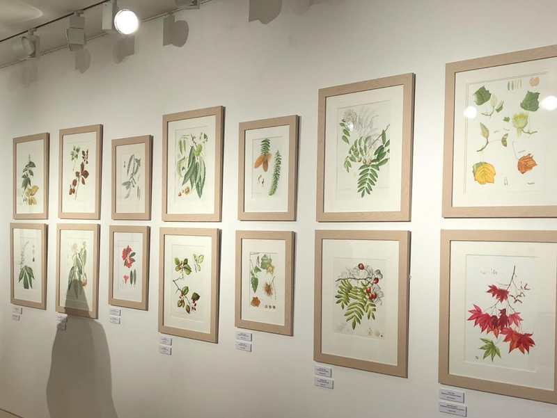 Florilegium3_2025