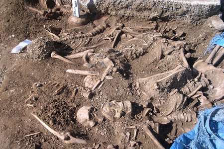 Viking skeleton photo