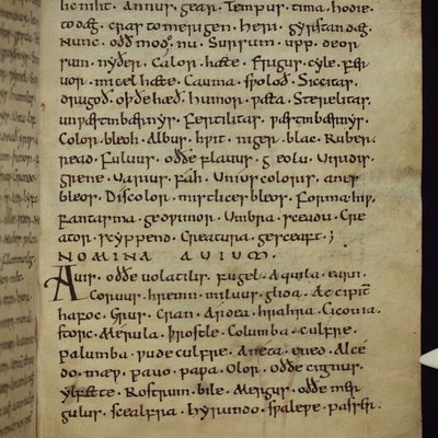 MS-154_fol-152r