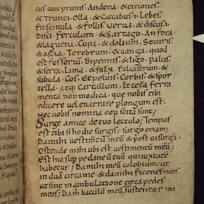 MS-154_fol-215r