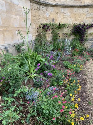 Thistle border_1