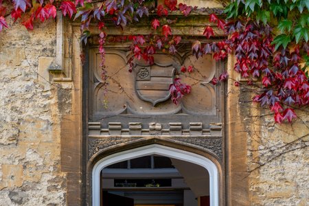 autumn-leaves-lamp
