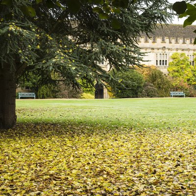 garden in autumn