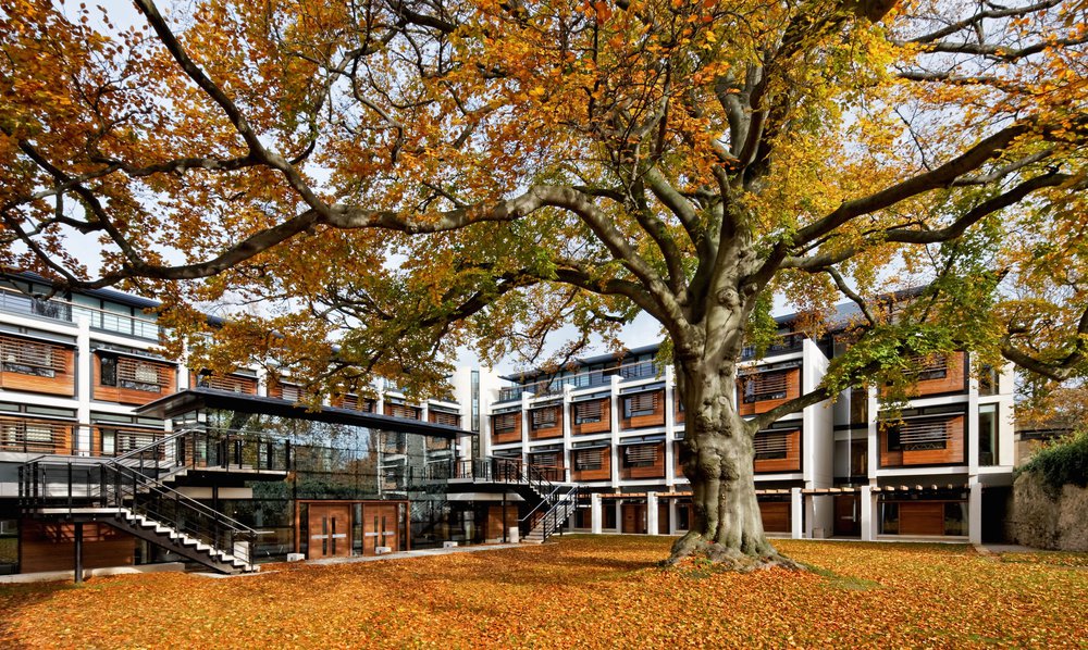 Kendrew Quad in autumn