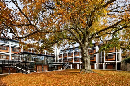 Kendrew Quad in autumn