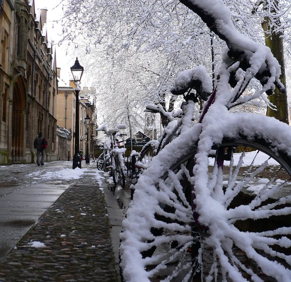 bicycles in the snow