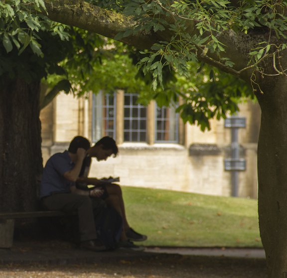 college garden