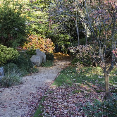 garden in autumn