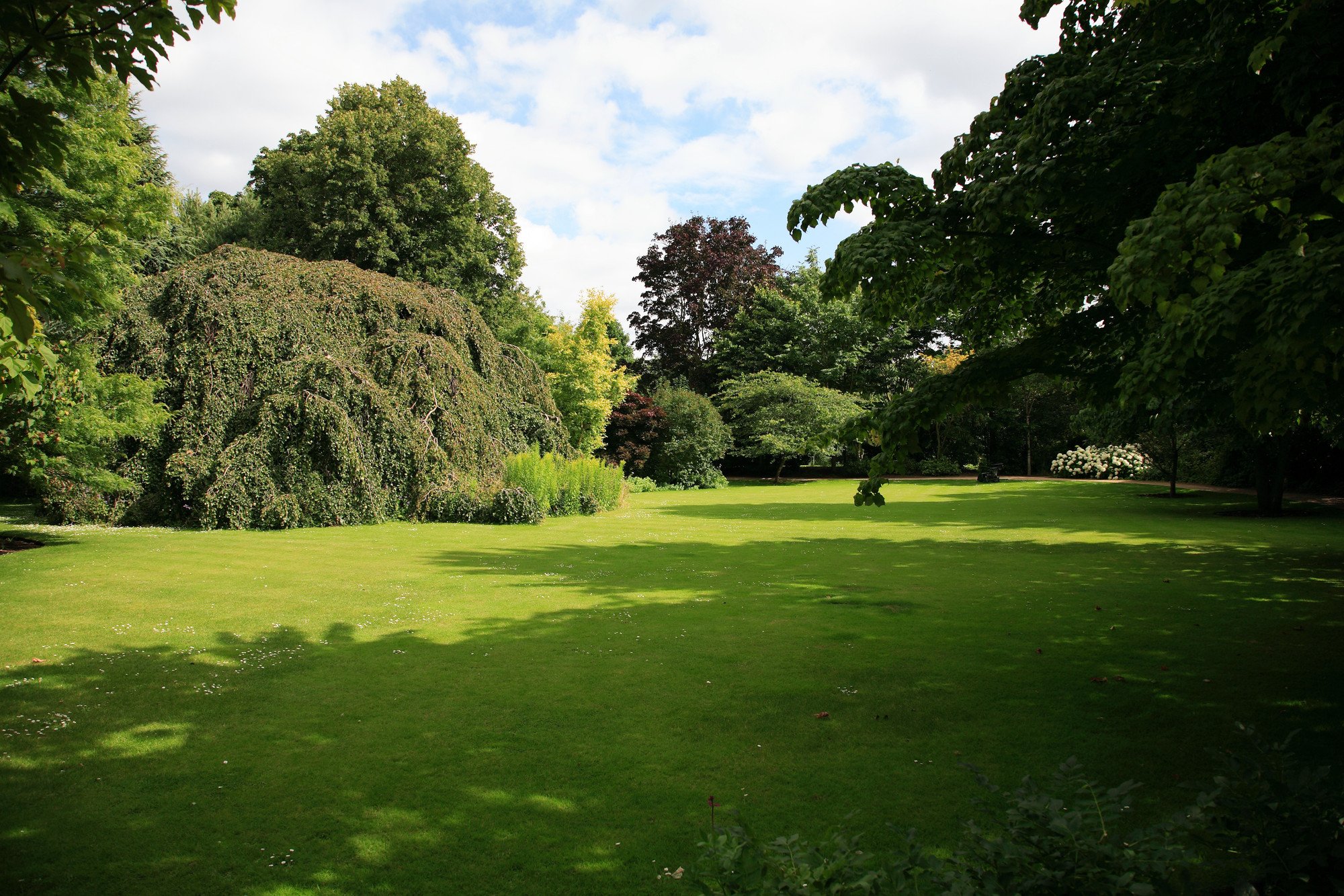 gardens in summer