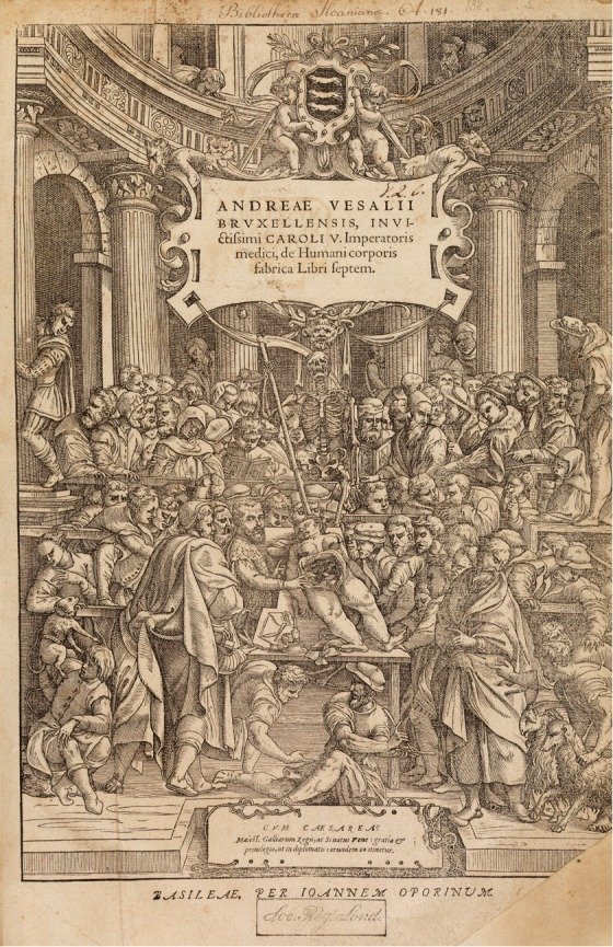 Vesalius