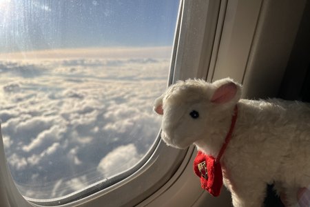 Giles the Lamb