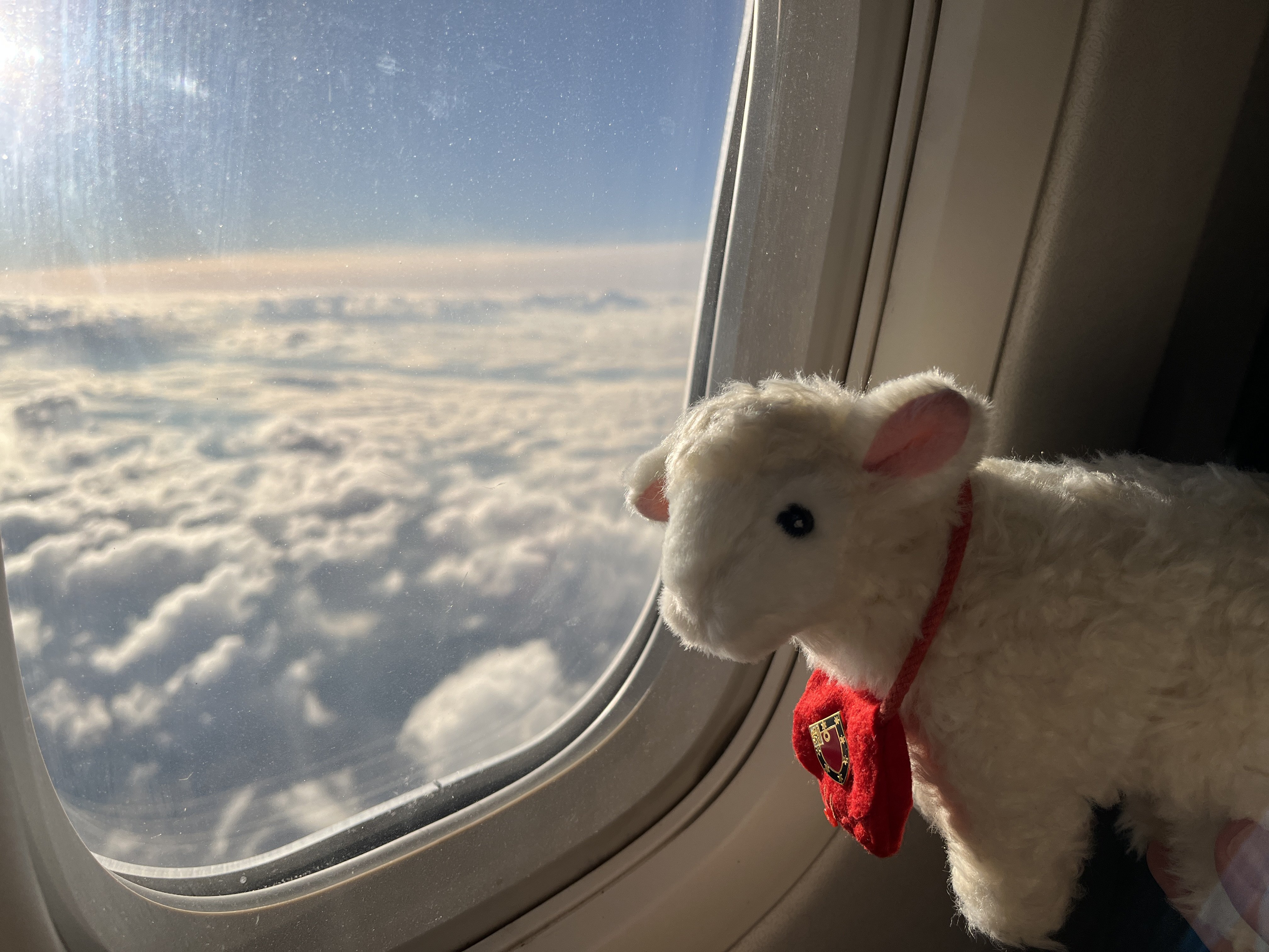 Giles the Lamb