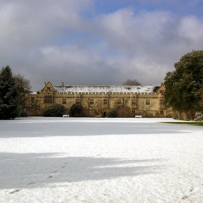 garden in winter